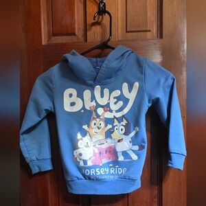Blue 'Bluey' Graphic Hoodie for Kids